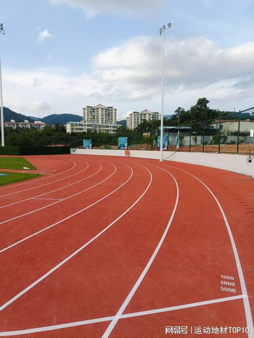 2025年塑胶跑道十大品牌排行榜 告别选择困难，科学甄选优质生产商
