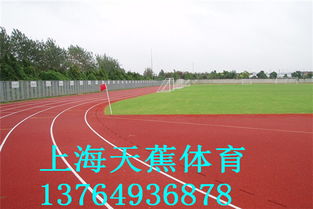 铺设塑胶跑道 环保材料的选择、生产厂家与价格分析