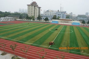河北塑胶跑道 生产厂家、价格趋势与选购指南