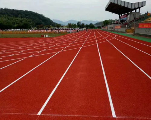 塑胶跑道价格解析 从平方米单价到整体预算考量