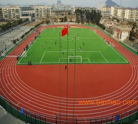 贵州透气型塑胶跑道选购指南 优质厂家甄别与价格解析